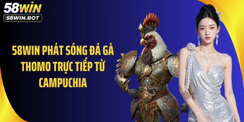 58WIN phát sóng đá gà thomo trực tiếp từ Campuchia