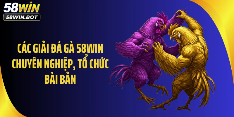 Các giải đá gà 58WIN chuyên nghiệp, tổ chức bài bản