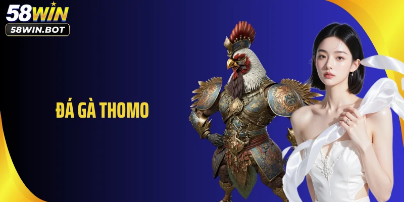 Đá gà Thomo