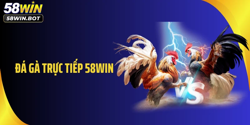 Đá gà trực tiếp