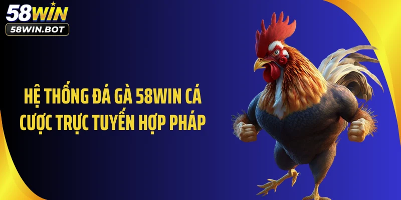 Hệ thống đá gà 58WIN cá cược trực tuyến hợp pháp