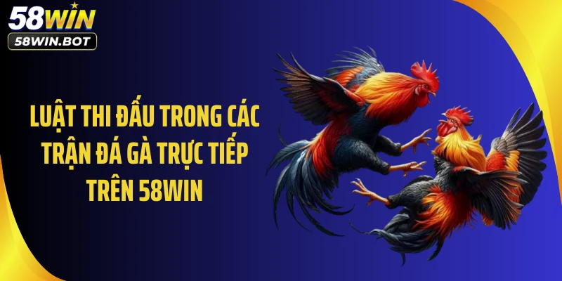 Luật thi đấu trong các trận đá gà trực tiếp trên 58WIN