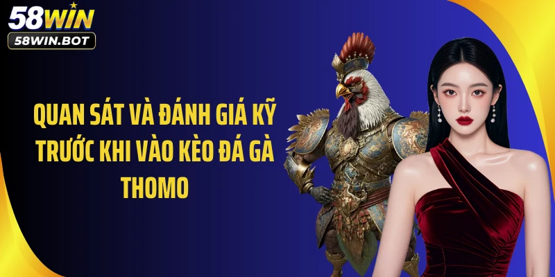 Quan sát và đánh giá kỹ trước khi vào kèo đá gà thomo