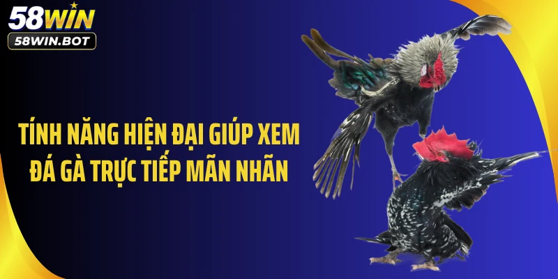 Tính năng hiện đại giúp xem đá gà trực tiếp mãn nhãn