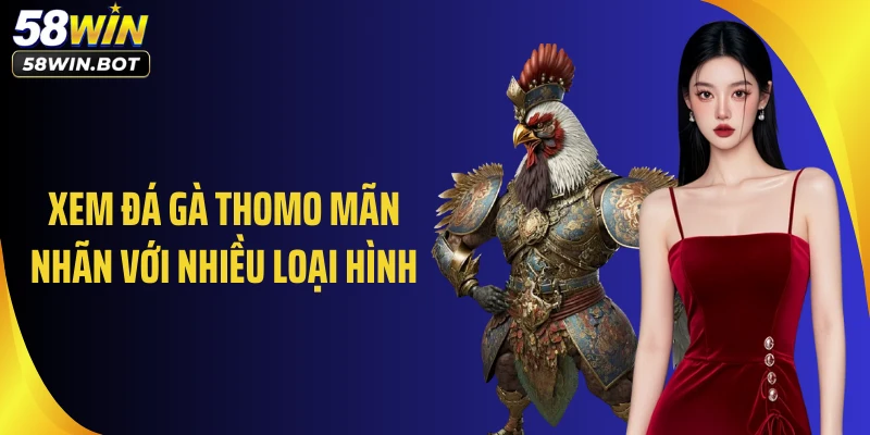 Xem đá gà thomo mãn nhãn với nhiều loại hình